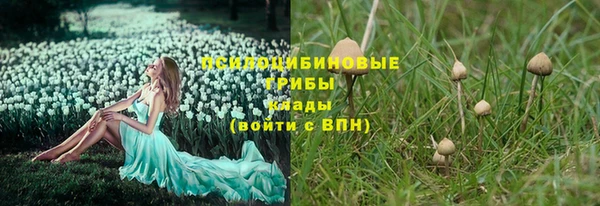 spice Абаза