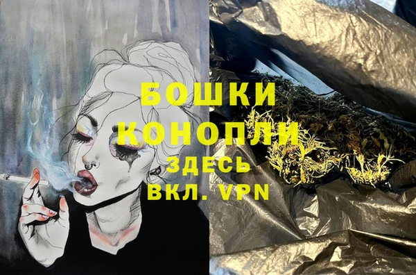 spice Алексин