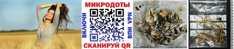 как найти закладки МЕГА зеркало Галлюциногенные грибы Psilocybe Арсеньев