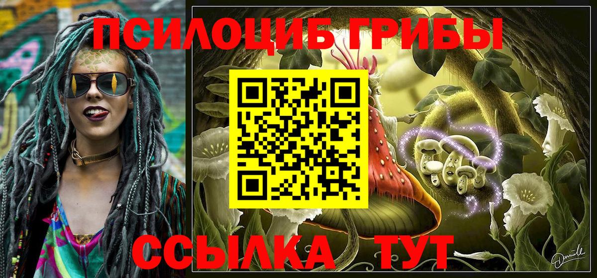 A-PVP Арсеньев