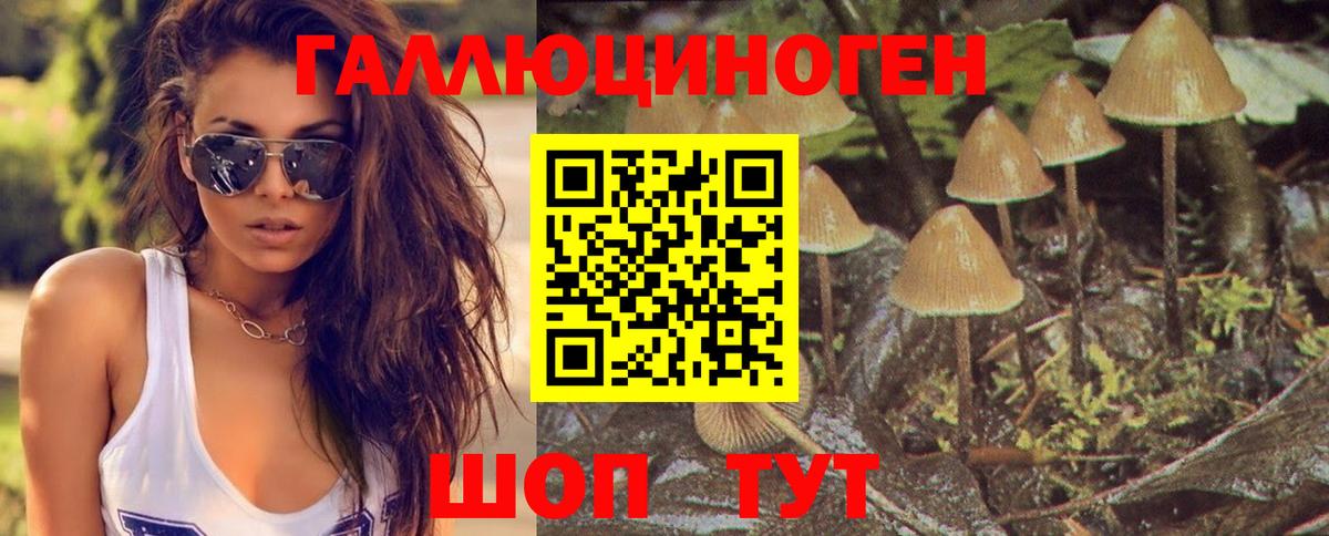 Псилоцибиновые грибы прущие грибы Арсеньев