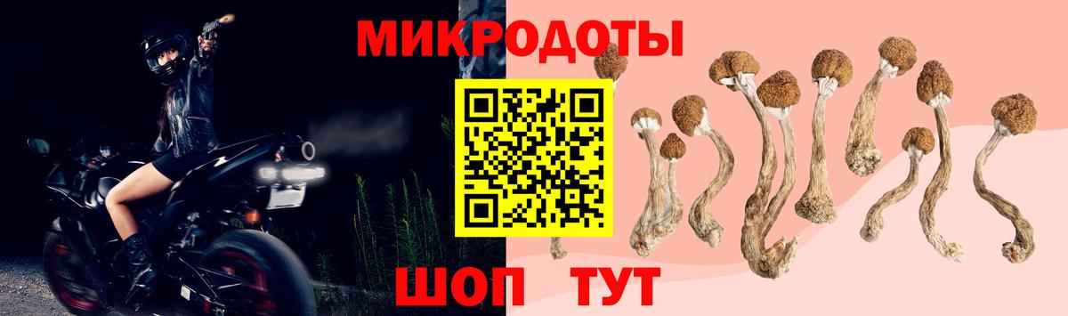 Псилоцибиновые грибы мицелий  Вход с VPN  Псилоцибиновые грибы GOLDEN TEACHER  Арсеньев 